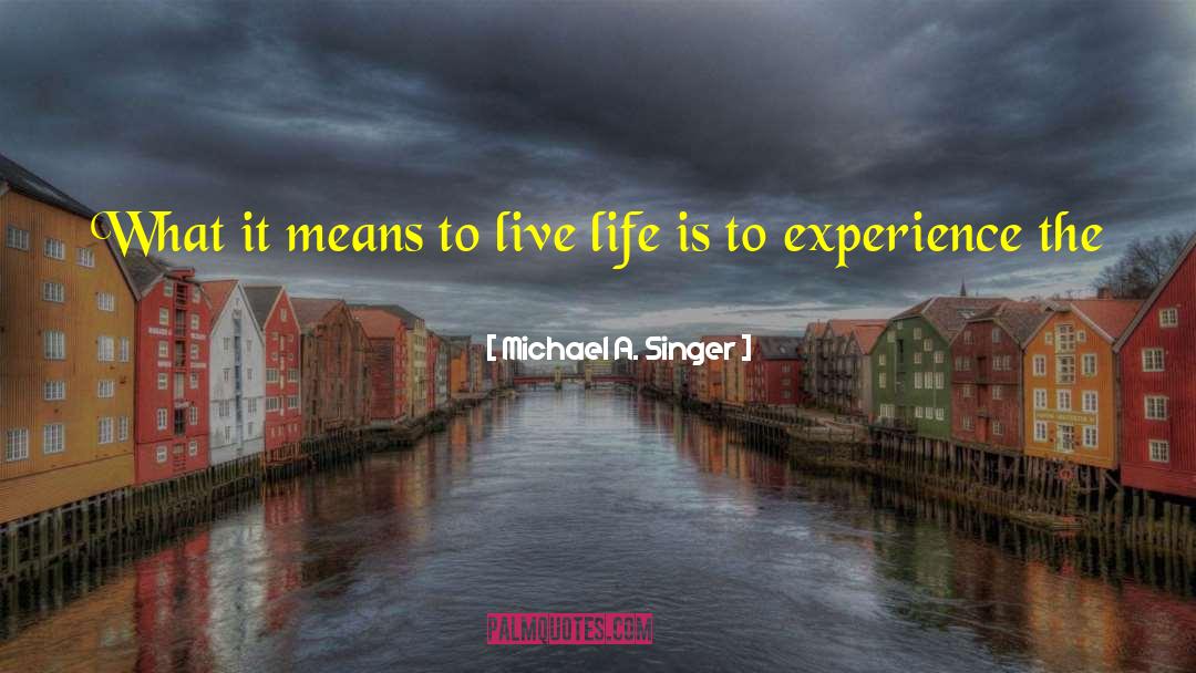 Michael A. Singer Quotes: What it means to live