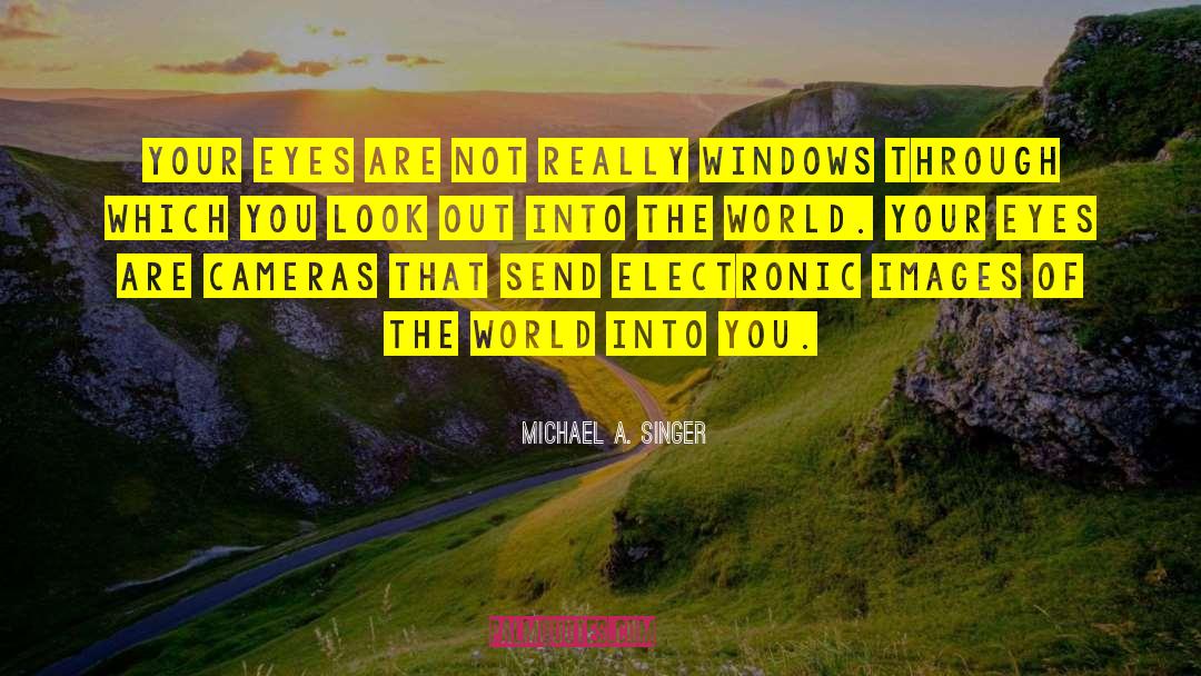 Michael A. Singer Quotes: Your eyes are not really