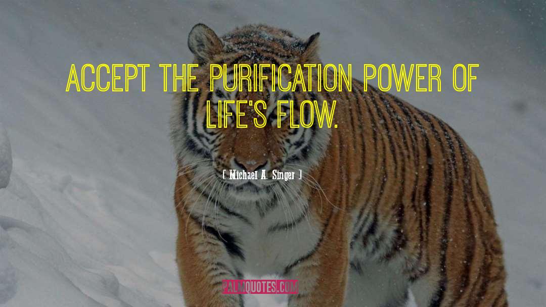 Michael A. Singer Quotes: Accept the purification power of