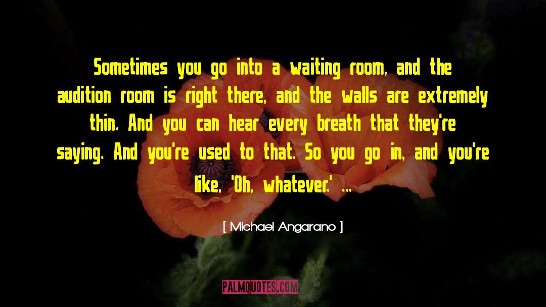 Michael Angarano Quotes: Sometimes you go into a