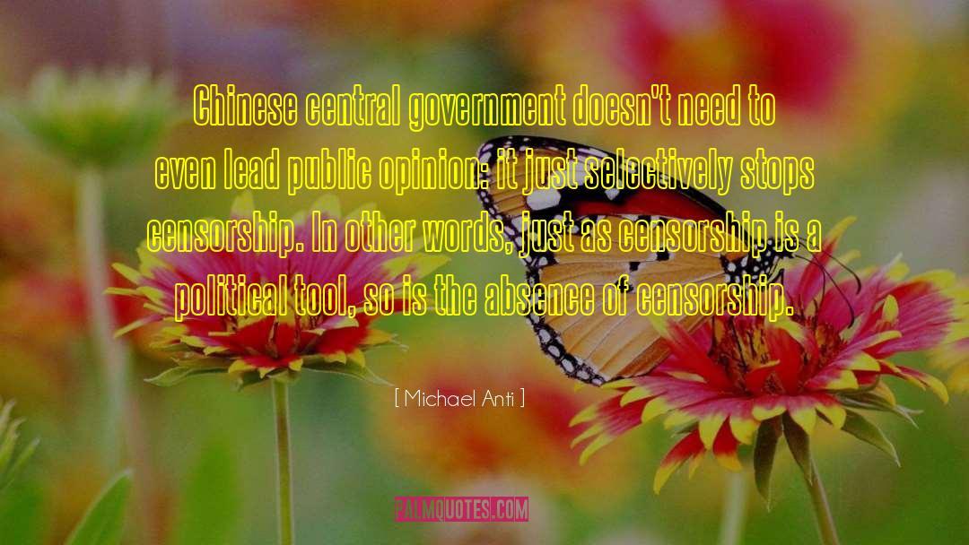Michael Anti Quotes: Chinese central government doesn't need