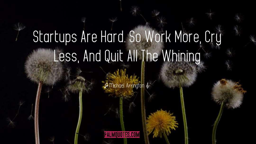 Michael Arrington Quotes: Startups Are Hard. So Work