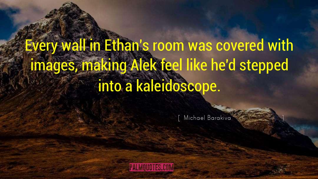 Michael Barakiva Quotes: Every wall in Ethan's room
