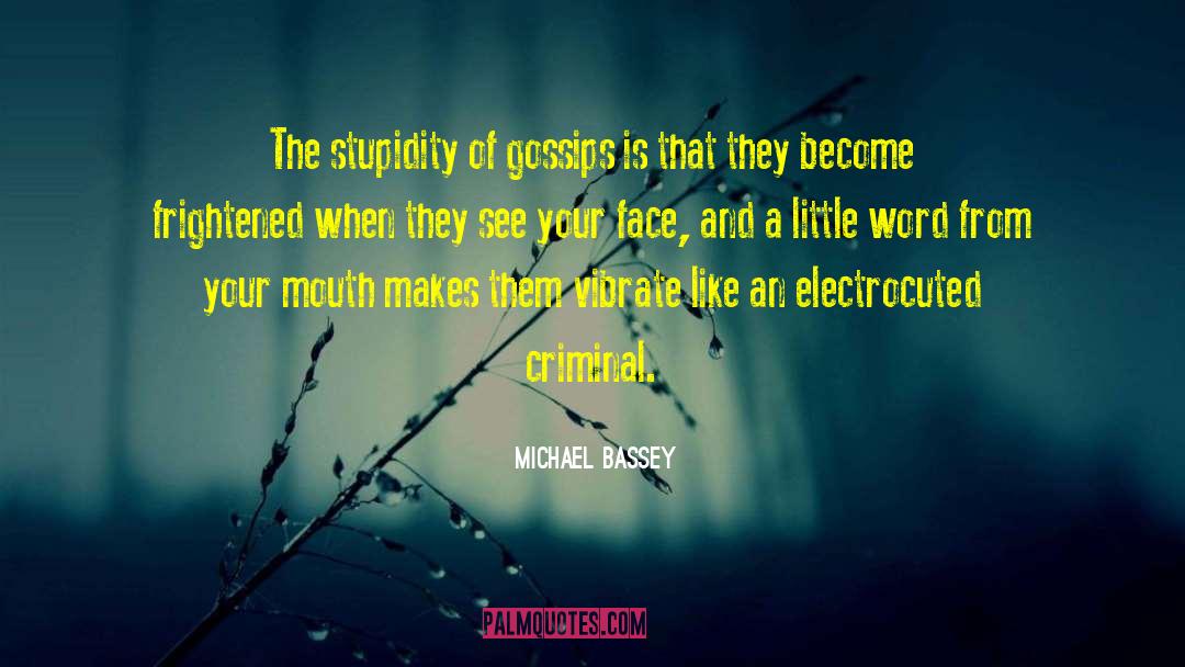 Michael Bassey Quotes: The stupidity of gossips is
