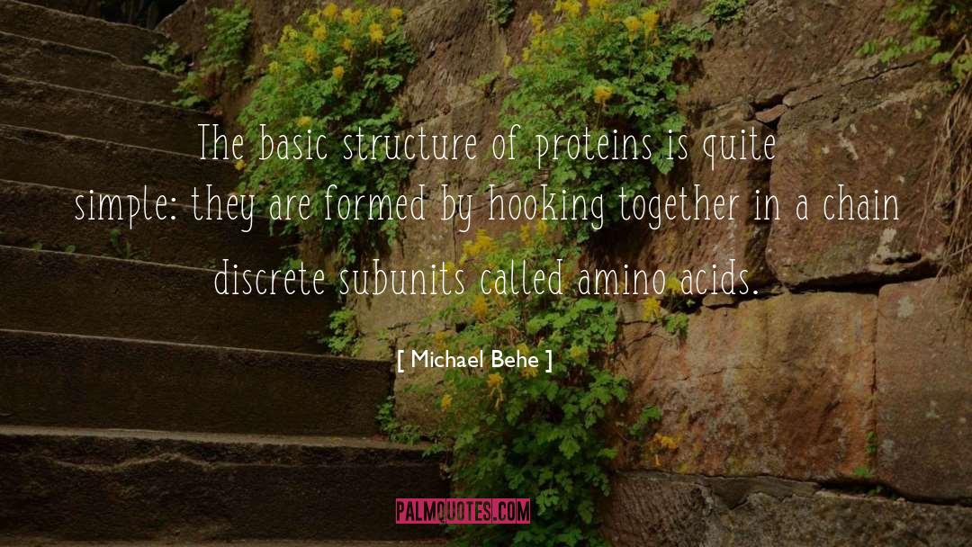 Michael Behe Quotes: The basic structure of proteins