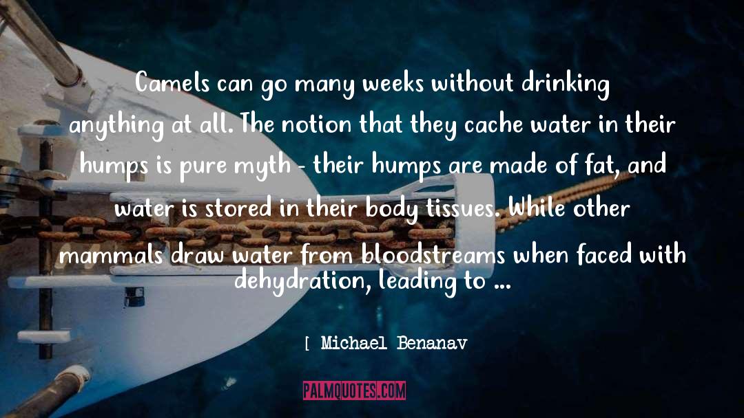 Michael Benanav Quotes: Camels can go many weeks