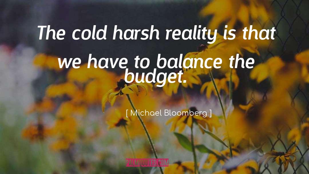 Michael Bloomberg Quotes: The cold harsh reality is