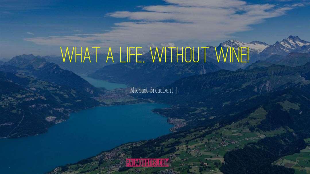 Michael Broadbent Quotes: What a life, without wine!