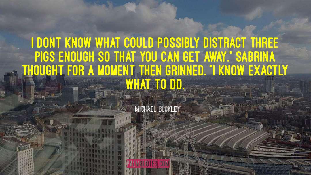 Michael Buckley Quotes: I dont know what could