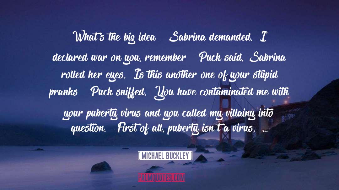 Michael Buckley Quotes: What's the big idea?