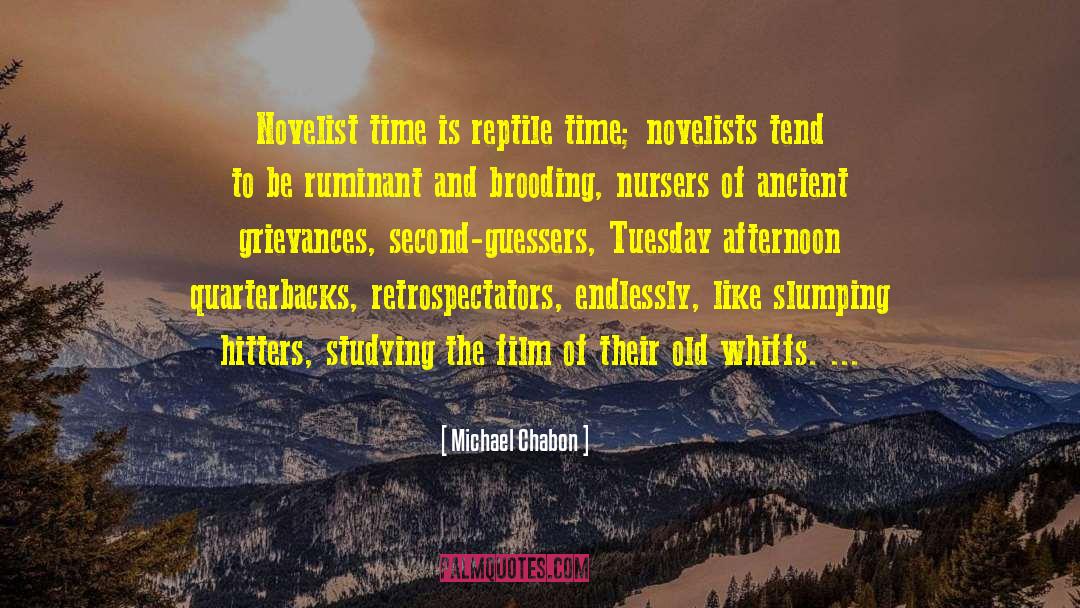 Michael Chabon Quotes: Novelist time is reptile time;