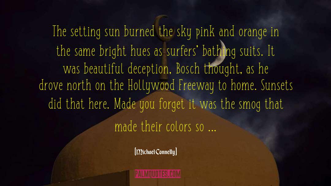 Michael Connelly Quotes: The setting sun burned the