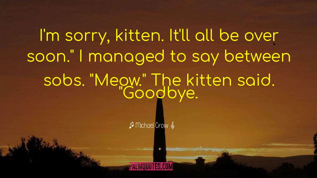 Michael Crow Quotes: I'm sorry, kitten. It'll all