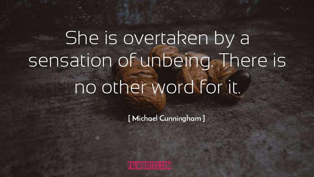 Michael Cunningham Quotes: She is overtaken by a