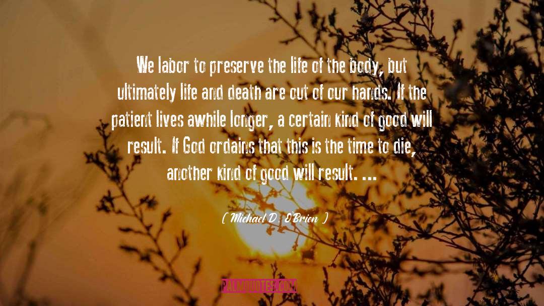 Michael D. O'Brien Quotes: We labor to preserve the