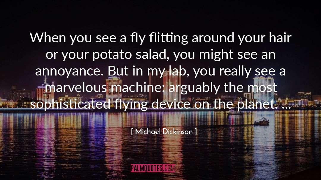 Michael Dickinson Quotes: When you see a fly