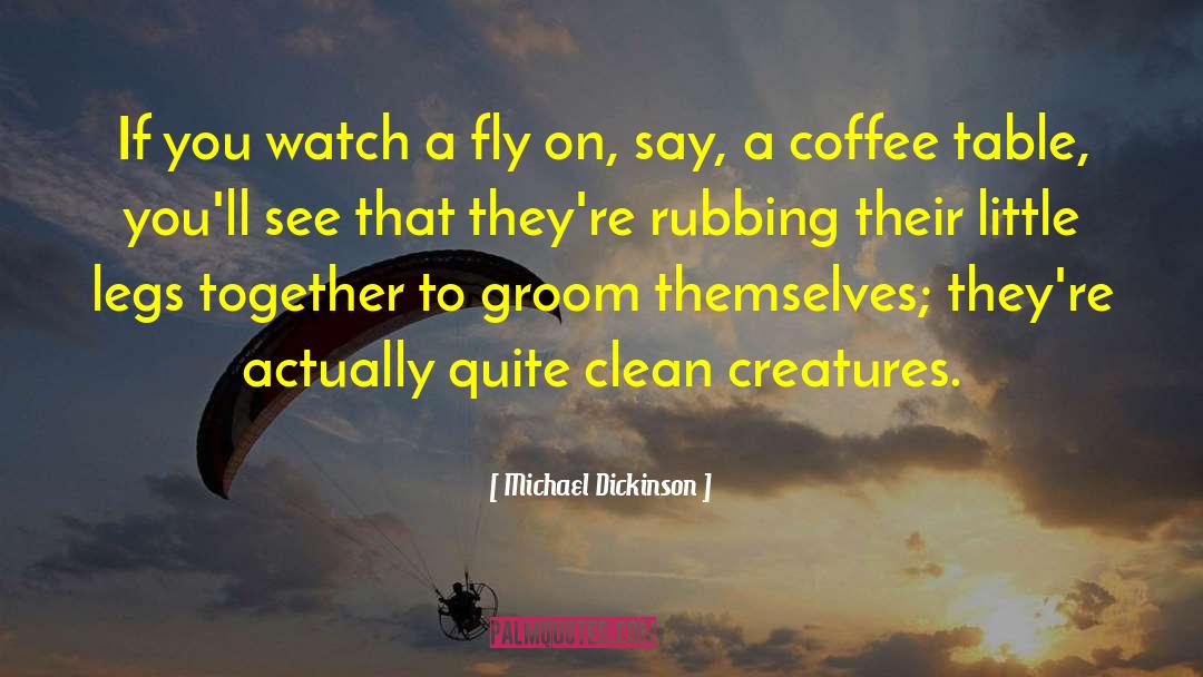 Michael Dickinson Quotes: If you watch a fly