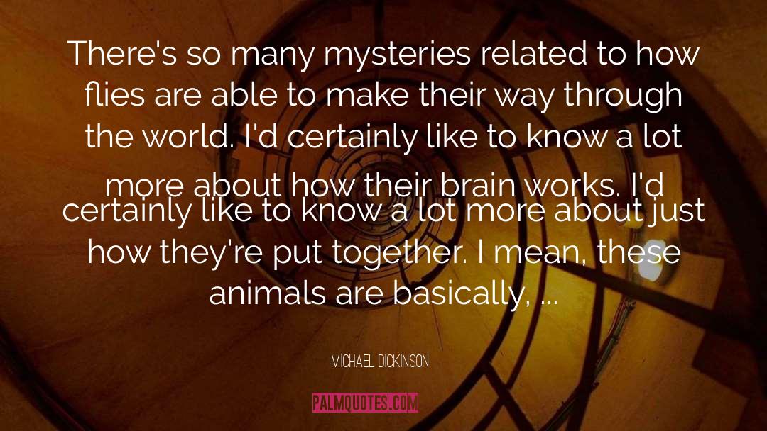 Michael Dickinson Quotes: There's so many mysteries related