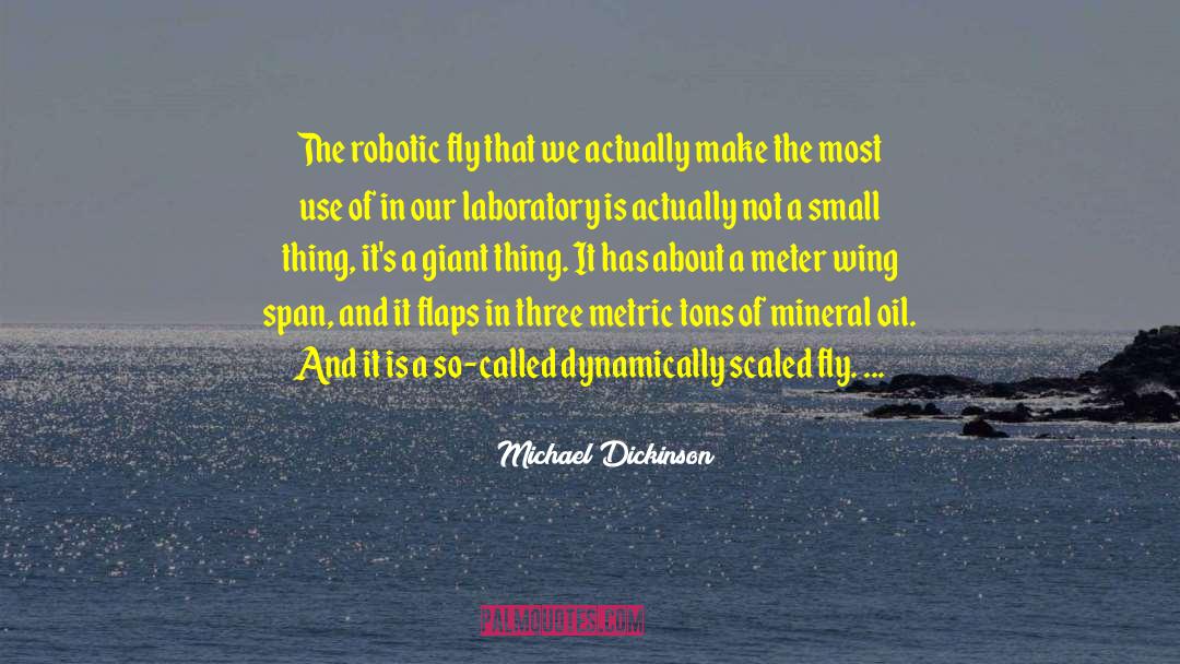 Michael Dickinson Quotes: The robotic fly that we