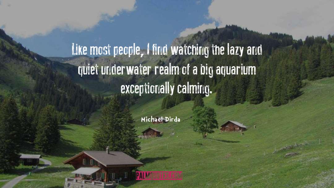 Michael Dirda Quotes: Like most people, I find