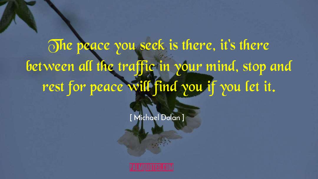 Michael Dolan Quotes: The peace you seek is