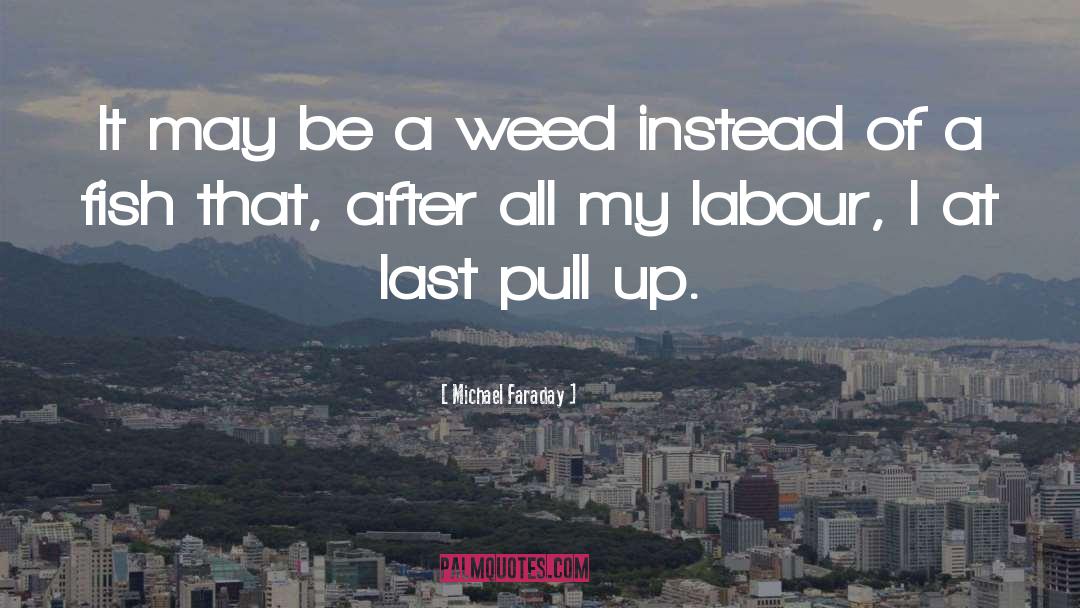 Michael Faraday Quotes: It may be a weed