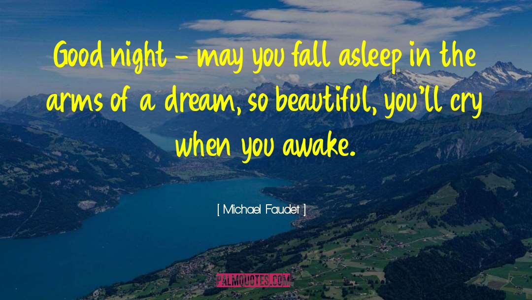 Michael Faudet Quotes: Good night - may you
