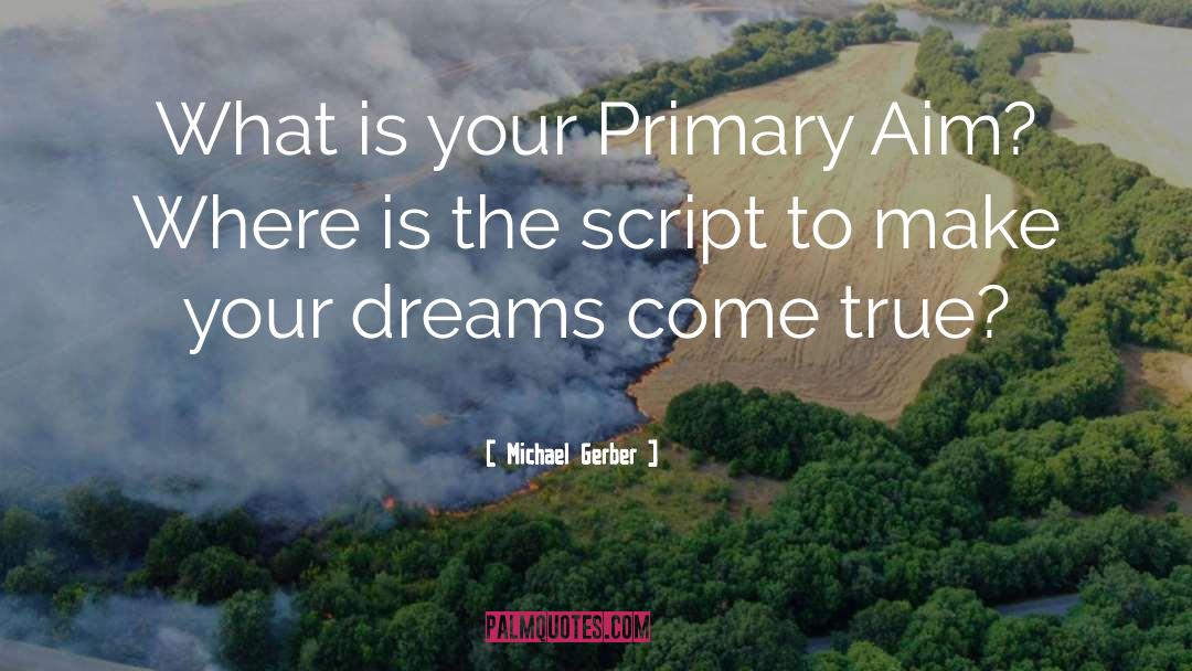 Michael Gerber Quotes: What is your Primary Aim?