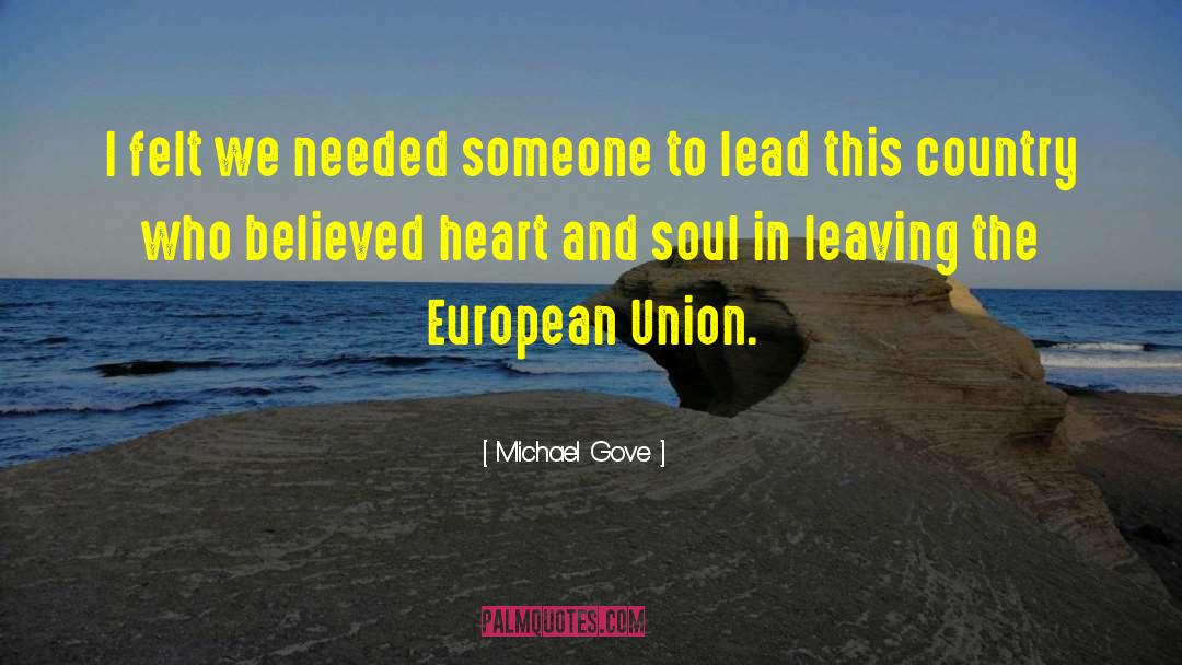Michael Gove Quotes: I felt we needed someone