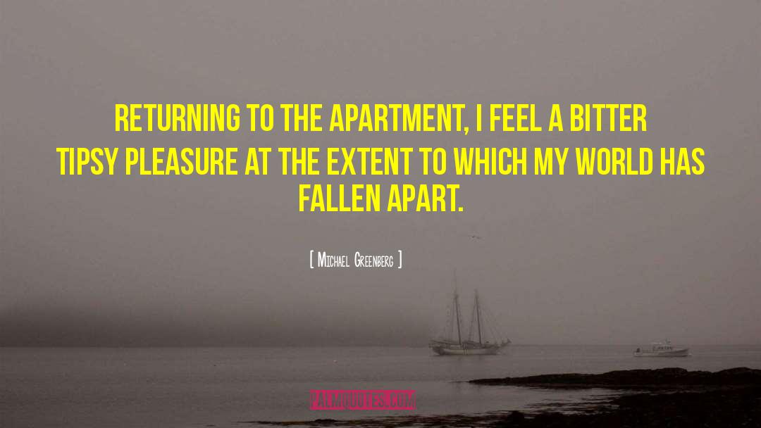 Michael Greenberg Quotes: Returning to the apartment, I