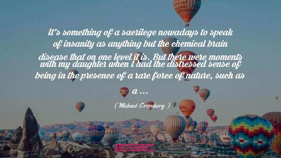 Michael Greenberg Quotes: It's something of a sacrilege