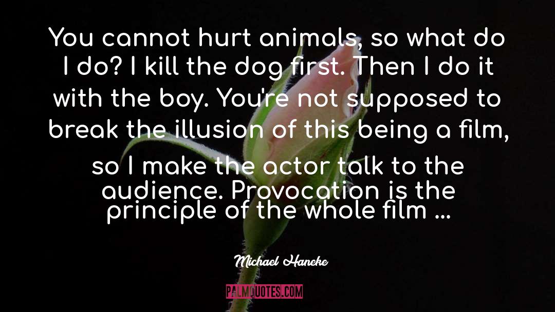 Michael Haneke Quotes: You cannot hurt animals, so