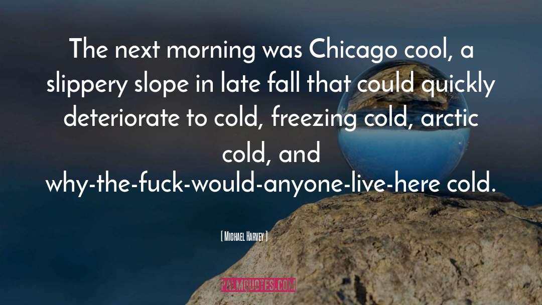 Michael Harvey Quotes: The next morning was Chicago