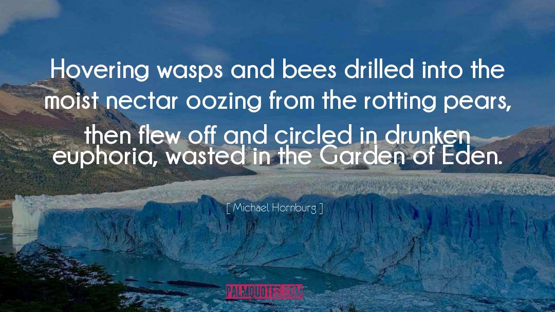 Michael Hornburg Quotes: Hovering wasps and bees drilled