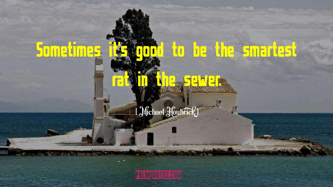 Michael Houbrick Quotes: Sometimes it's good to be