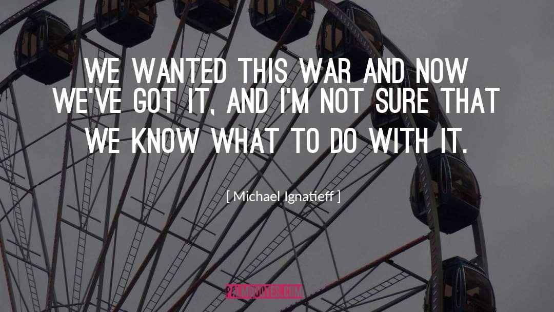 Michael Ignatieff Quotes: We wanted this war and