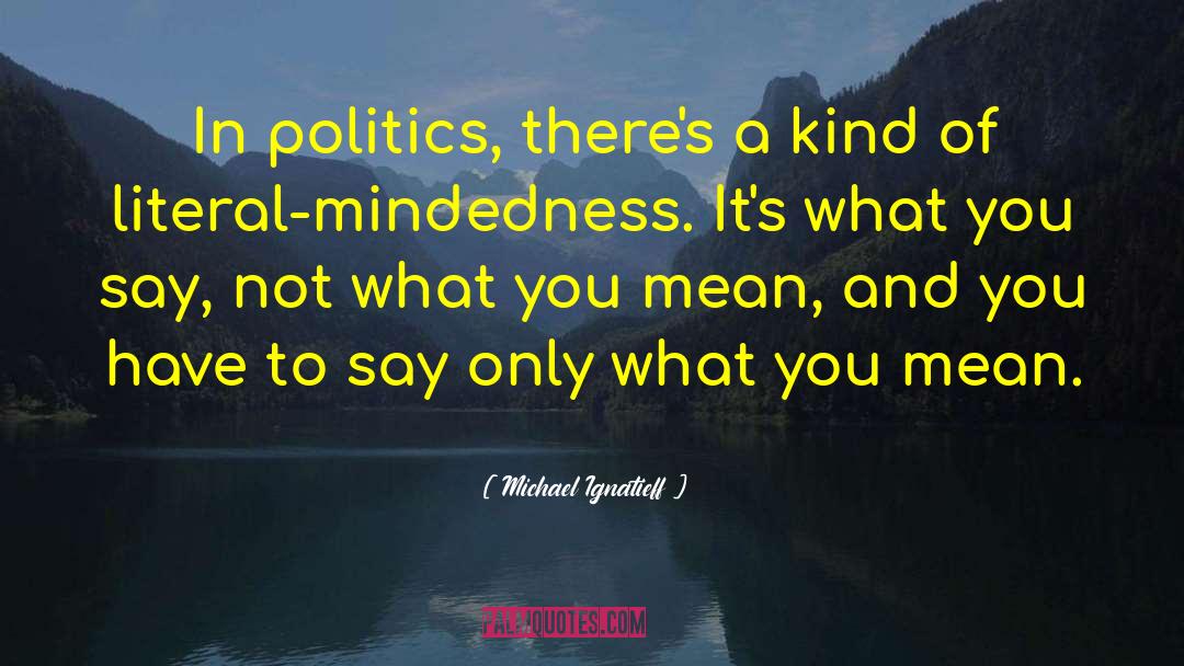Michael Ignatieff Quotes: In politics, there's a kind