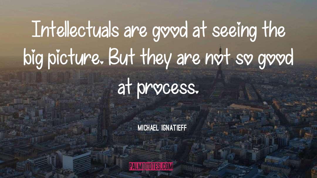 Michael Ignatieff Quotes: Intellectuals are good at seeing