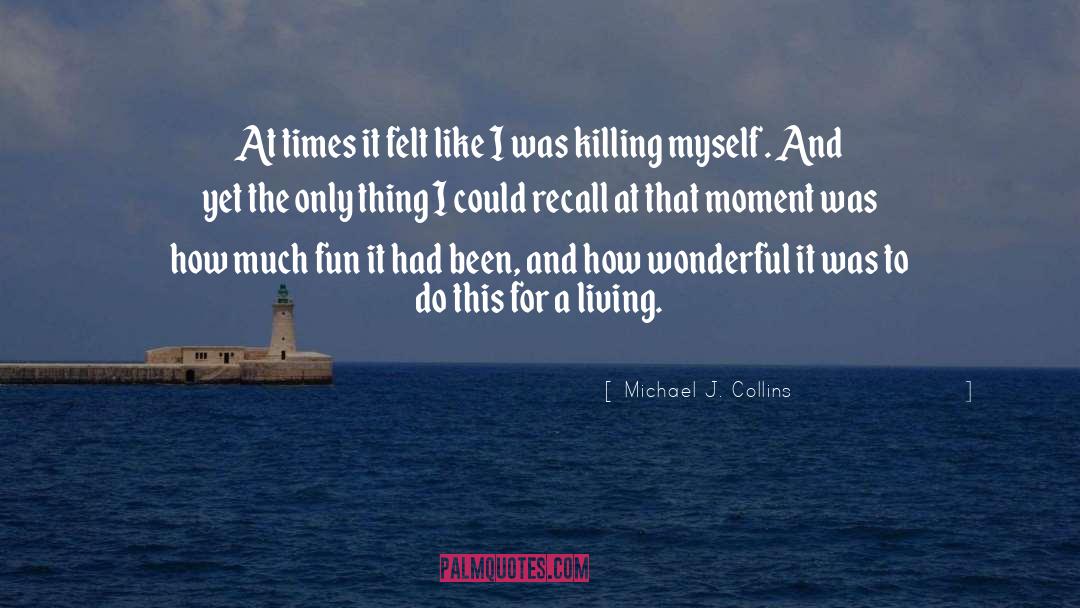 Michael J. Collins Quotes: At times it felt like
