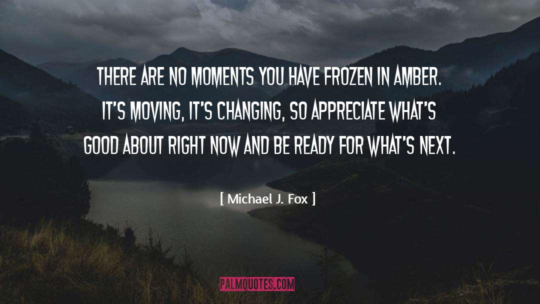 Michael J. Fox Quotes: There are no moments you