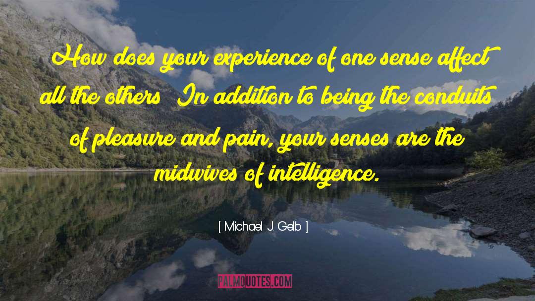 Michael J. Gelb Quotes: How does your experience of