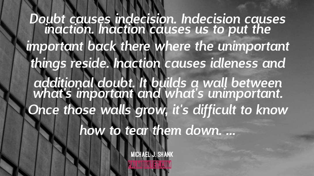 Michael J. Shank Quotes: Doubt causes indecision. Indecision causes