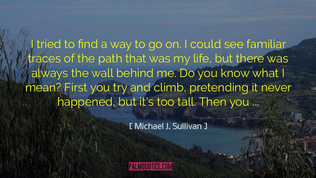 Michael J. Sullivan Quotes: I tried to find a