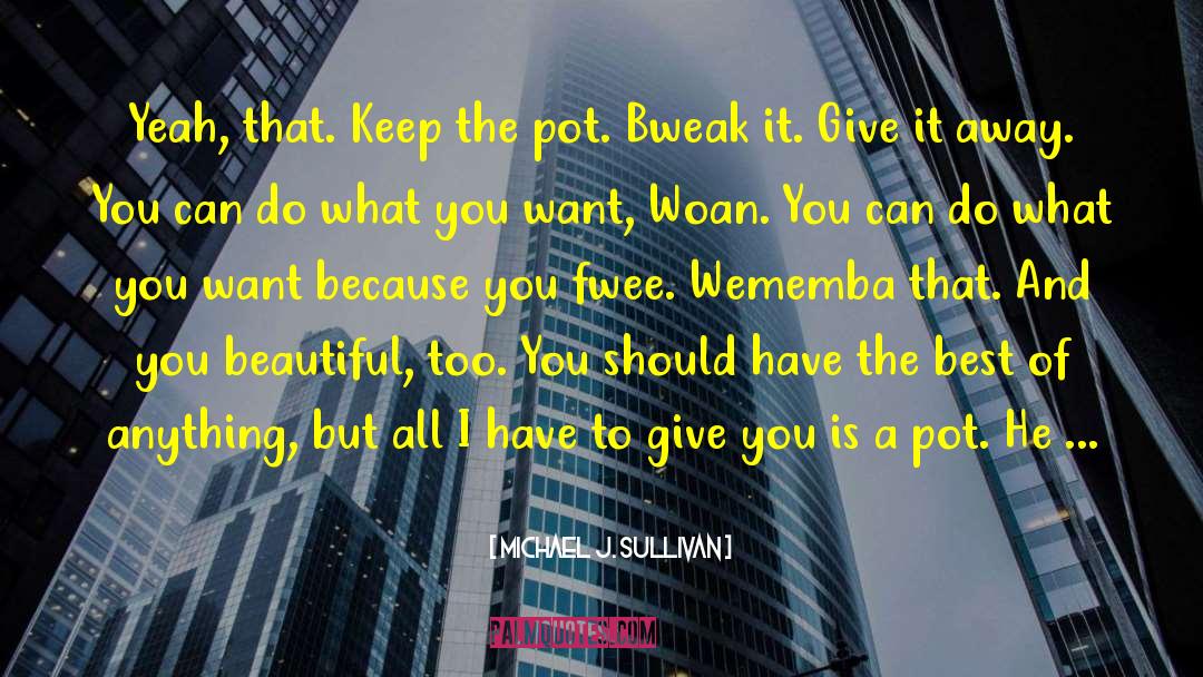 Michael J. Sullivan Quotes: Yeah, that. Keep the pot.