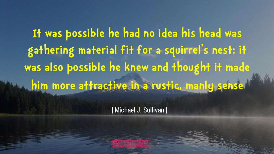 Michael J. Sullivan Quotes: It was possible he had