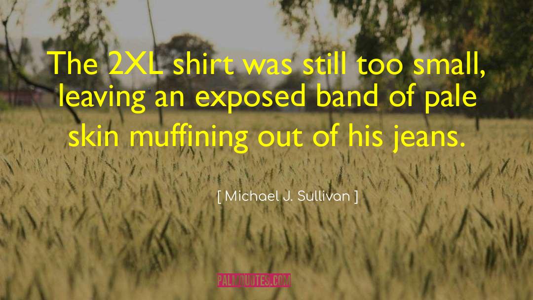 Michael J. Sullivan Quotes: The 2XL shirt was still