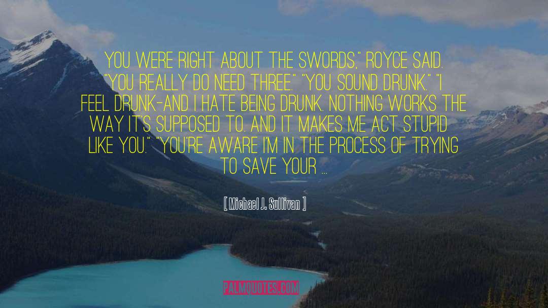 Michael J. Sullivan Quotes: You were right about the