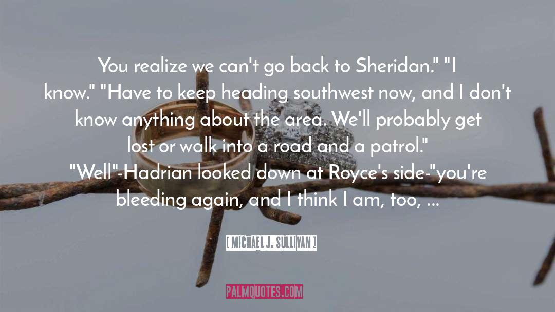 Michael J. Sullivan Quotes: You realize we can't go