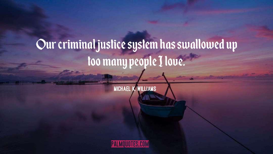 Michael K. Williams Quotes: Our criminal justice system has