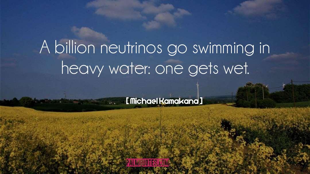 Michael Kamakana Quotes: A billion neutrinos go swimming